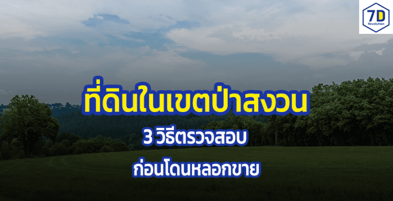 ที่ดินในเขตป่าสงวน